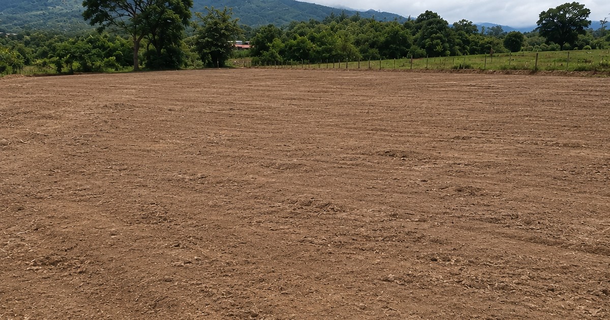 Motoniveladora de Maquivial nivelando terreno — servicio de movimiento de tierras en Bogotá y la Sabana
